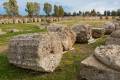 Metaponto,Archaeological,Area,Cities,Of,Magna,Greece,Basilicata,Italy
